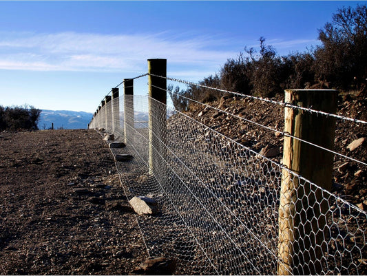 Southern Wire 105/4/1.4mm Hg Wire Netting 50m