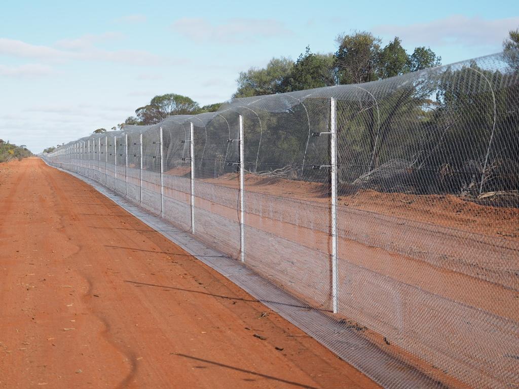Southern Wire 180/4/1.4mm Hg Wire Netting 50m