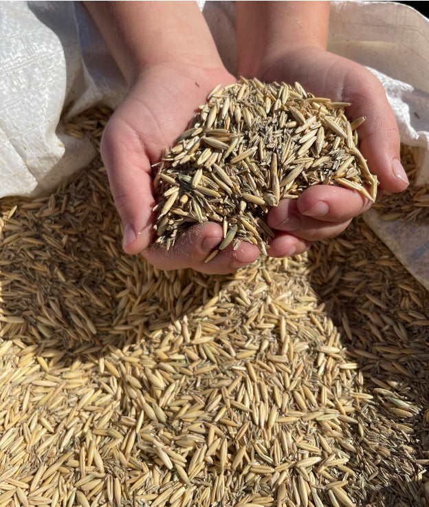 Hicks Seeds Annual Blend 25kg