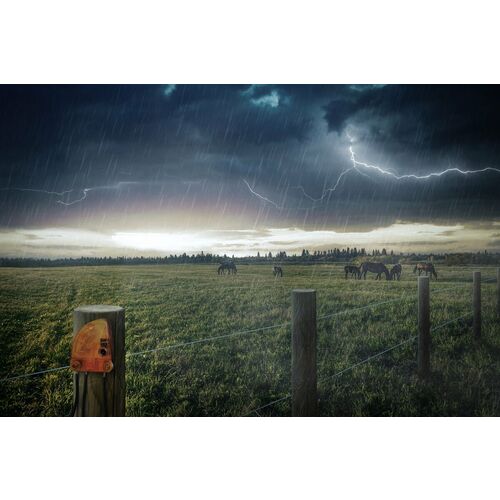 Gallagher Lightning Diverter