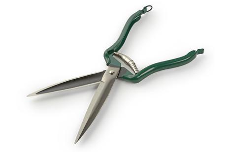 Hand Shears B&b 6'' Dressing R/h