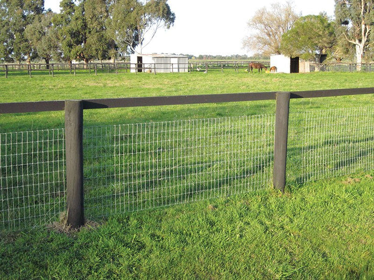 Fencing Equipment