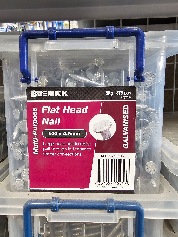 Bremick Flat Head Nail 100 X 4.5mm