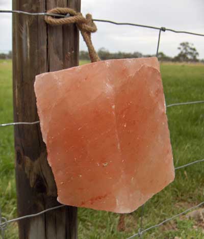 Minrose Salt Lick On Rope 2kg
