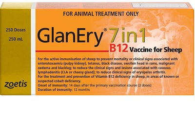 Zoetis Glanery 1 In 1 B12 500ml