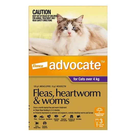 Advocate For Cats 4kg+ Pk3 