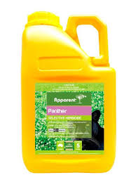 Apparent Panther [sz:5l]