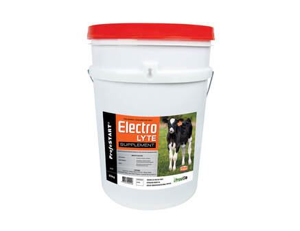Profestart Electrolyte Supplement [sz:20kg]