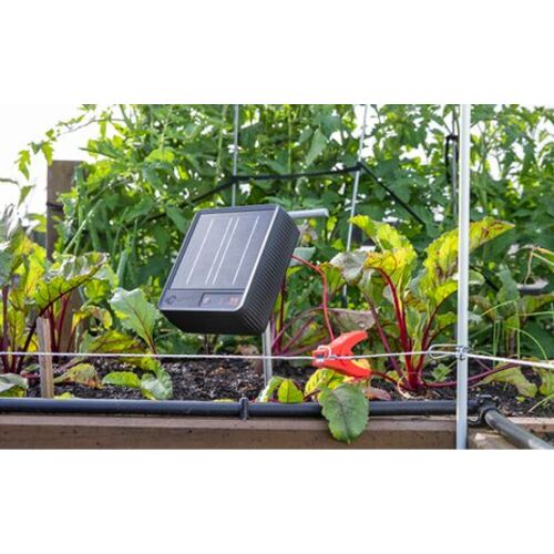 Gallagher S6 Lithium Solar Energizer (pet & Yard Model)
