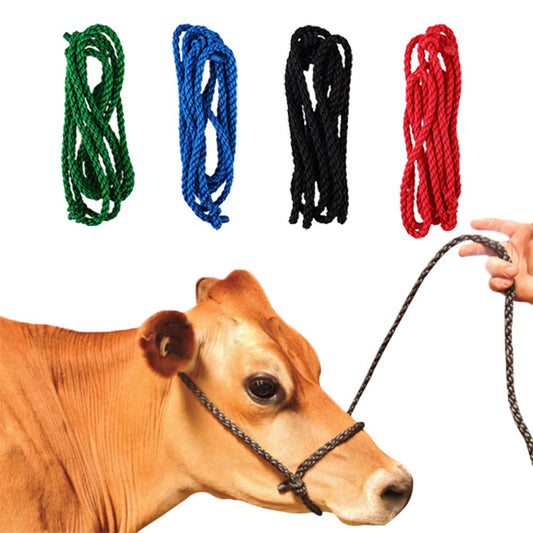 Shoof Halter Poly Rope [v:calf - Black]