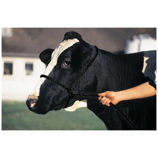 Shoof Halter Poly Rope [v:calf - Black]
