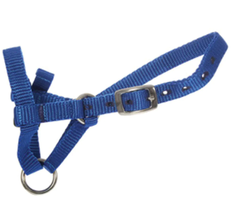 Shoof Alpaca Halter Medium Blue