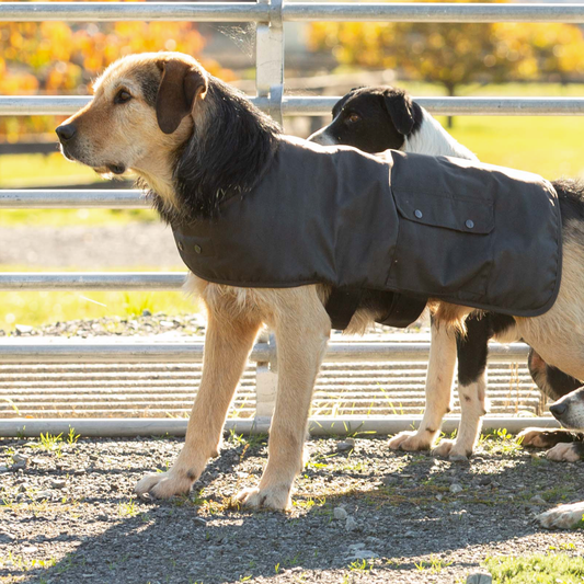 Styx Mill Oilskin Dog Coat Brown Fur [sz:large] 