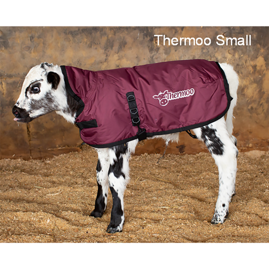 Shoof Thermoo Calf Jacket [v:small - Burgundy]
