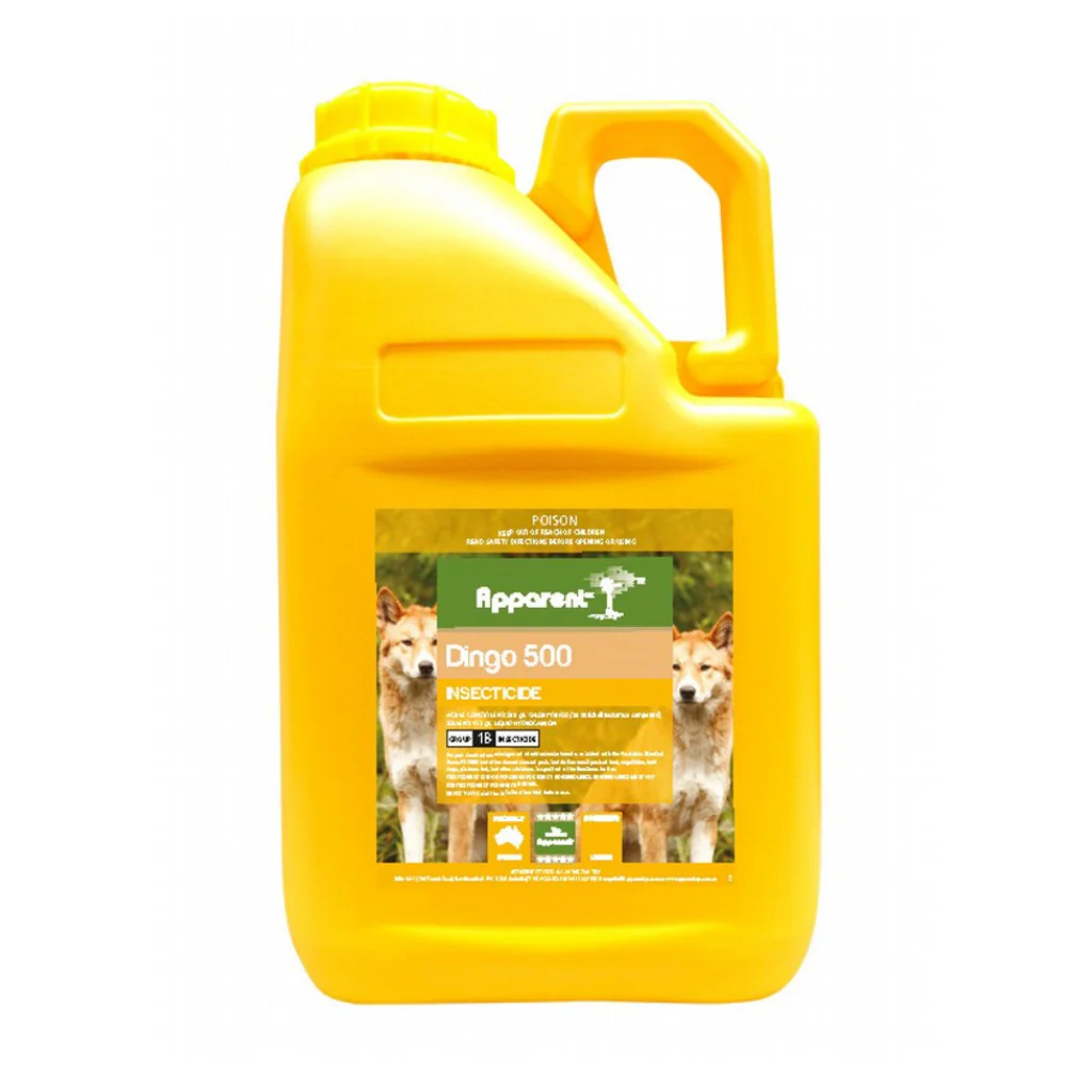Apparent Dingo 500