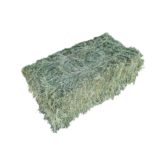 Hay Local Grass - Small Square Bale