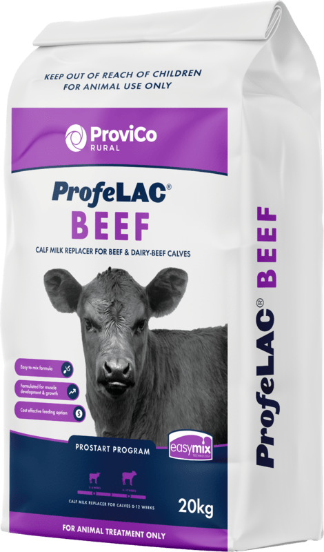 Profelac Calf Milk Replacer Beef 20kg (purple)