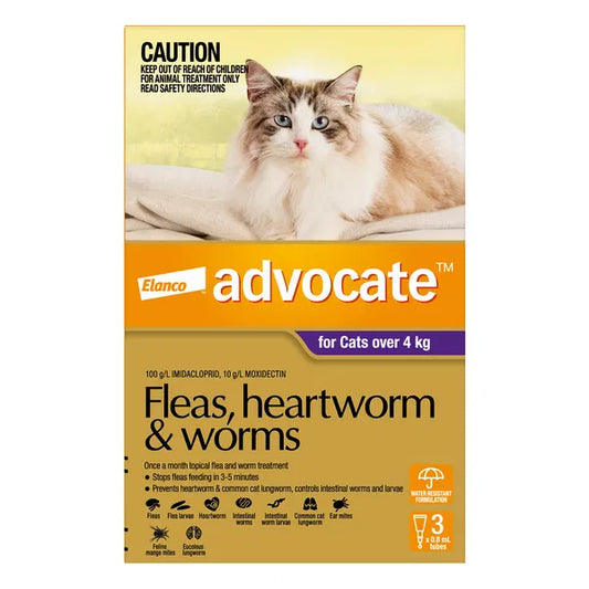 Advocate For Cats 4kg+ Pk3