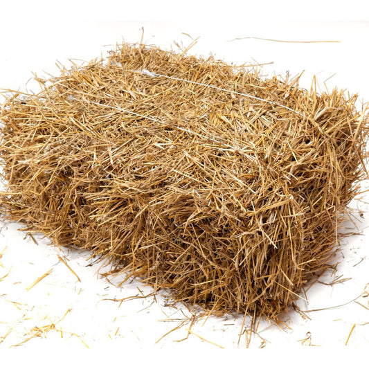Hay Straw - Small Square Bale